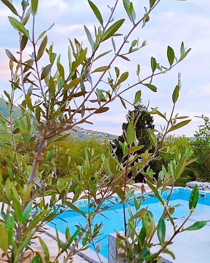 באר Apartmani Dumezic מראה חיצוני תמונה